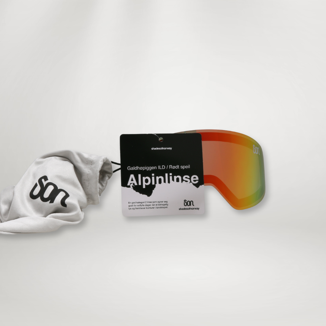 Galdhøpiggen・rød alpinlinse