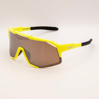 RS Seagull gul・polariserte solbriller